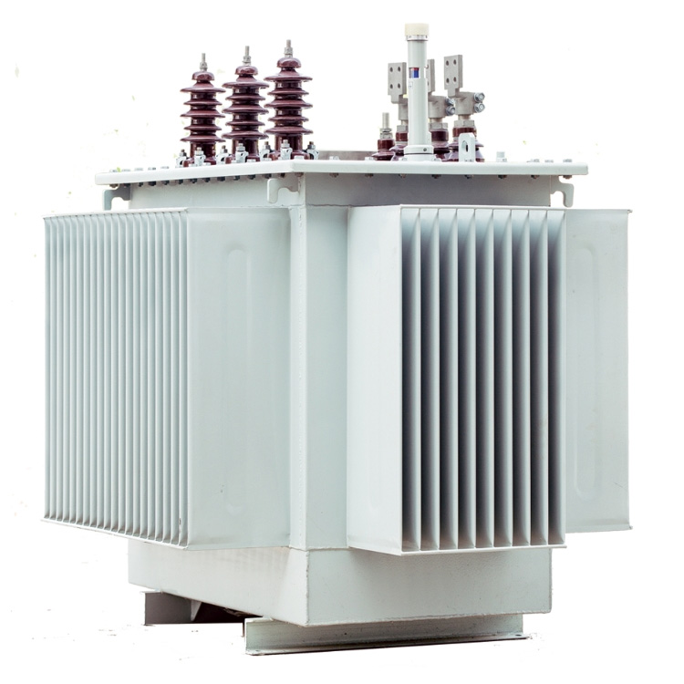 10kV Oil-Immersed Distribution Transformer